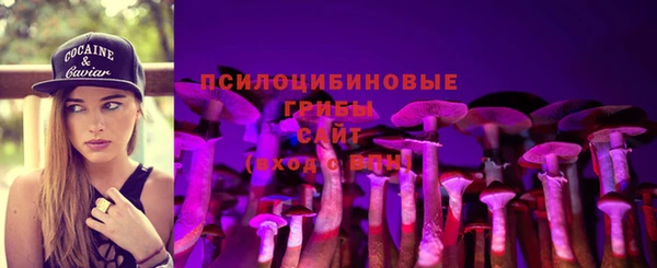 Альфа ПВП Богородск