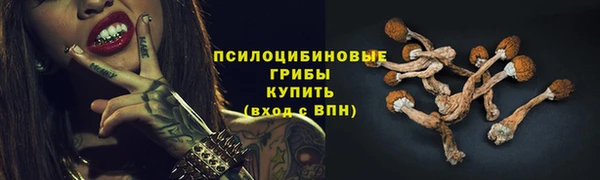 прущий лед Богородицк