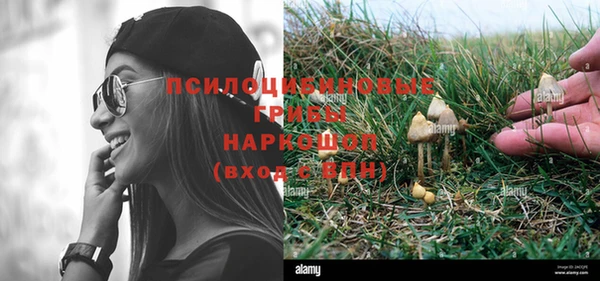 сатива Богданович