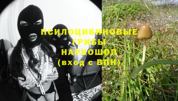 прущий лед Богородицк